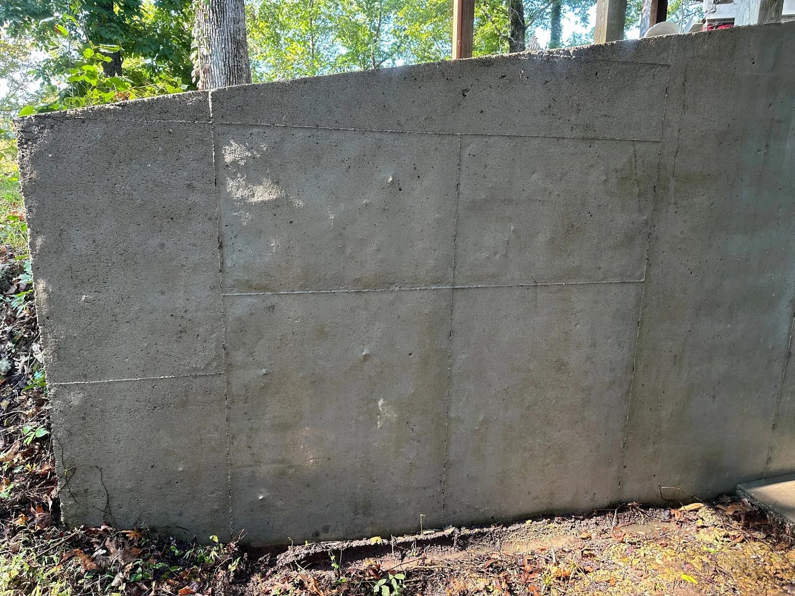 Retaining wall darkened with algae before washing